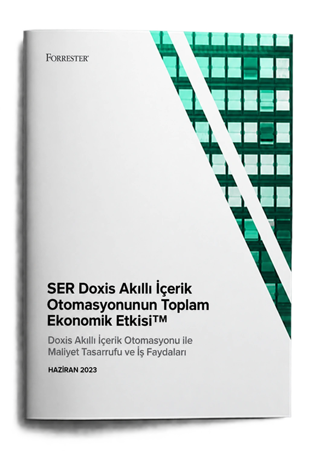 Doxis yatırımının ekonomik etkisi: Forrester araştırması